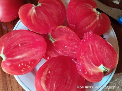 Томат Литовский хохлатый