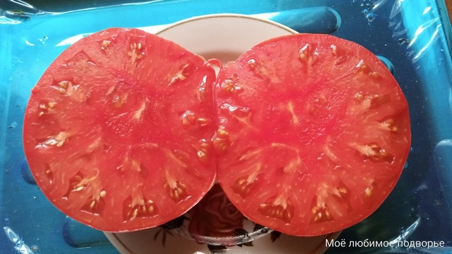 Томат Румынский красный