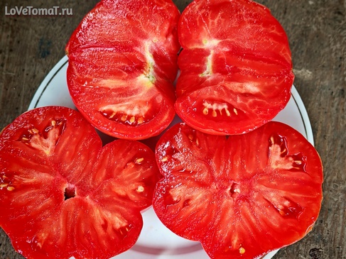 Томат Красный литий
