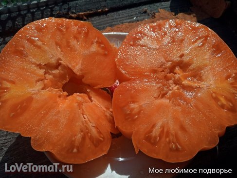 Томат Персимон (американская хурма)