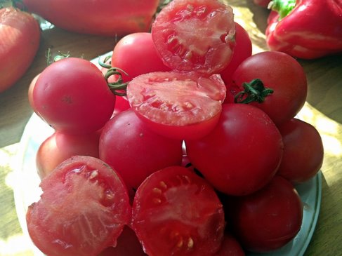 Томат Honey Drop Tomatoes