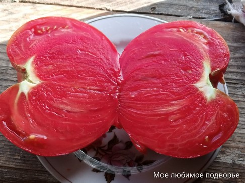 Томат Олива