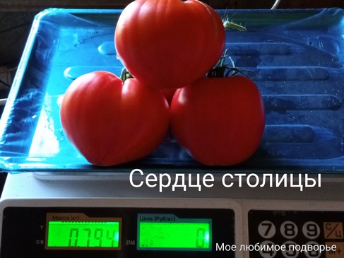 Томат Сердце столицы