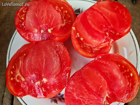 Томат Коралловый