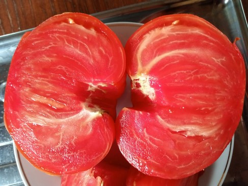 Томат Большие от Реми