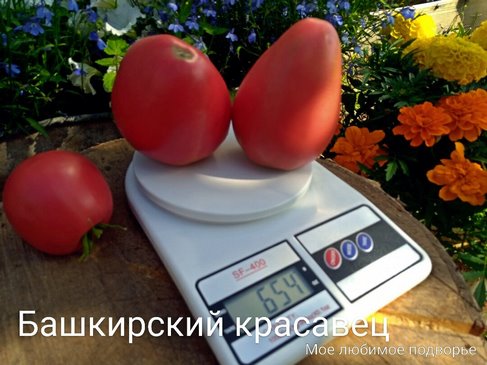 Томат Башкирский красавец