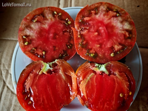 Томат Брендивайн чёрный