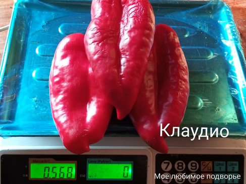 Перец Клаудио F1