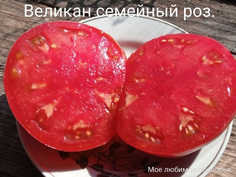 Томат Великан семейный розовый
