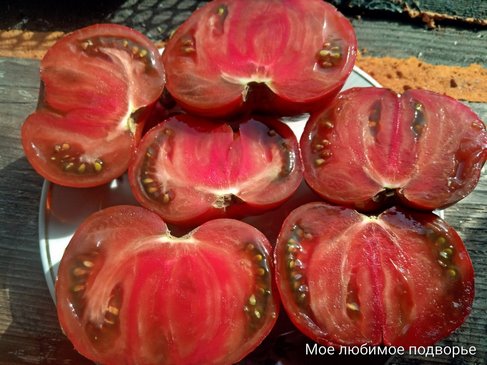 Томат Полосатый шоколад