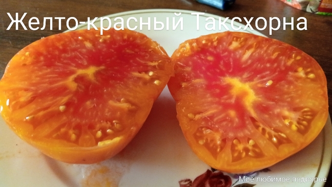 Томат Жёлто-красный Таксхорна