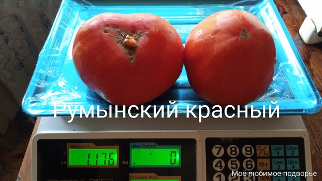 Томат Румынский красный