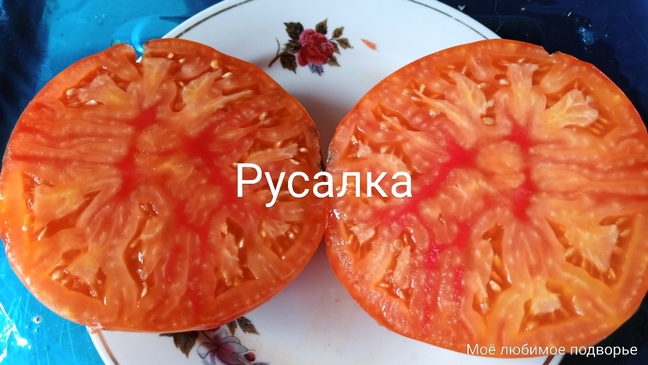 Томат Русалка