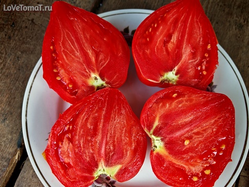 Томат Гном Каменистый ручей сердцевидный
