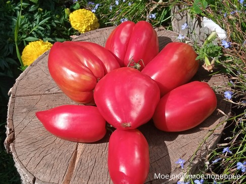 Сердце Марты