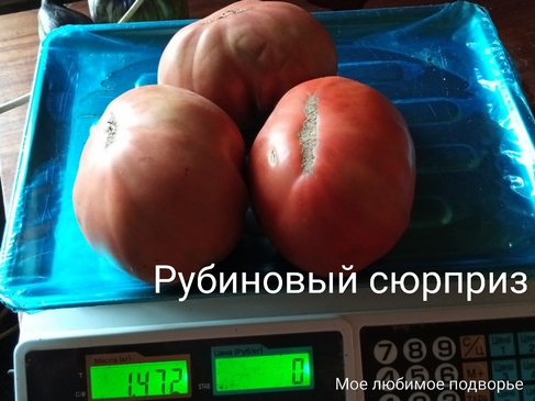 Томат Рубиновый сюрприз