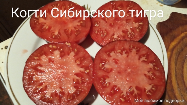 Томат Когти Сибирского тигра