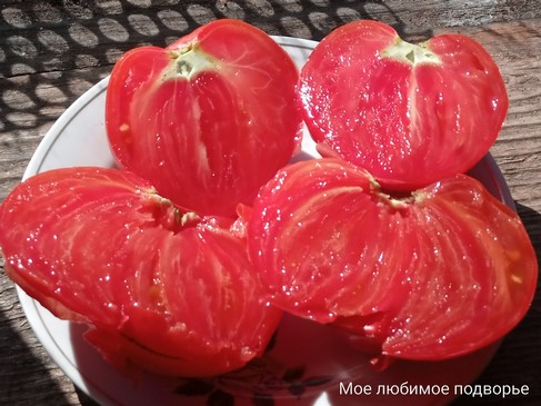 Томат Робс