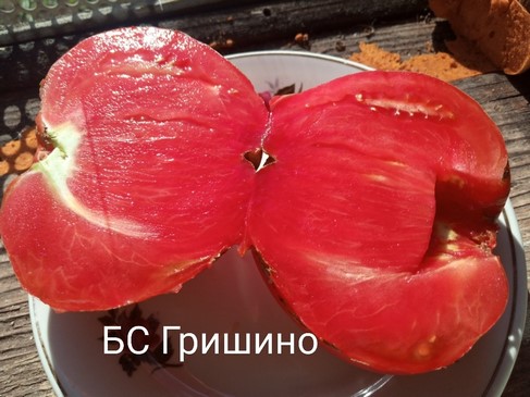 Томат Бычье сердце Гришино