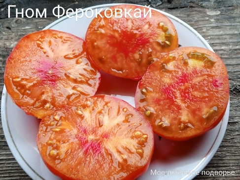 Томат Гном Фероковкай