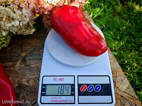 Перец Большой красный сыр