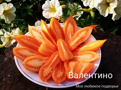 Томаты Валентино