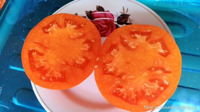 Томат Персик из Риги