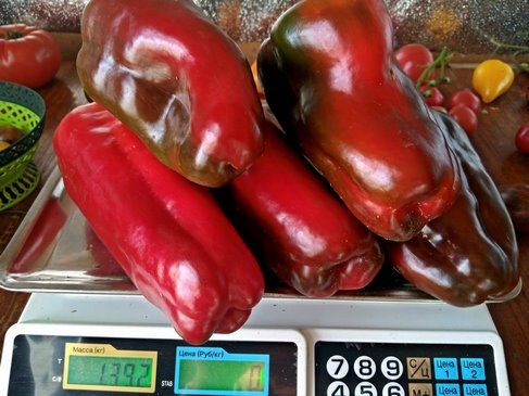 Перец Неаполитанский красный