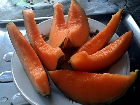 Дыня Маленькая серая из Ренна