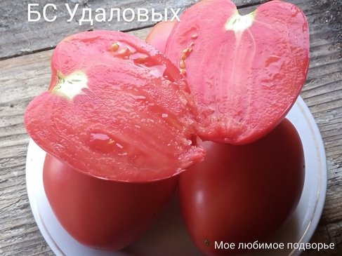 Томат Бычье сердце Удаловых
