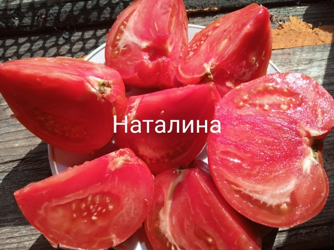 Томат Наталина