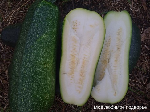 Другие овощи Осьминог